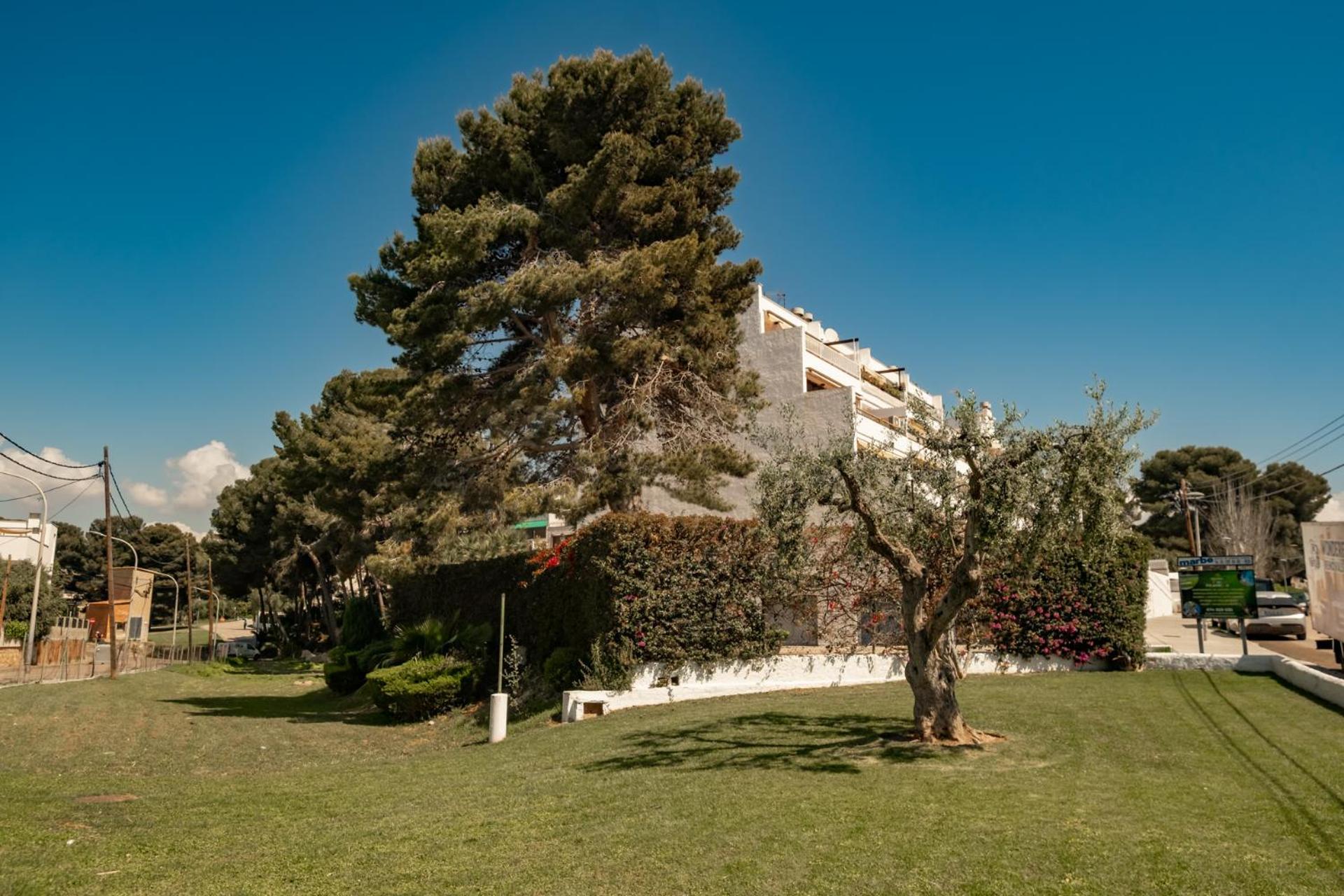 Encantador Apto En La Playa Coma-ruga Exterior photo